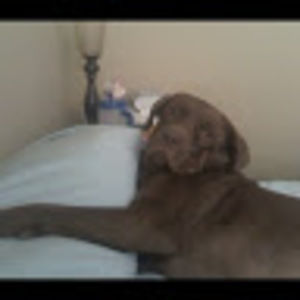 Meet your Posher, Sean